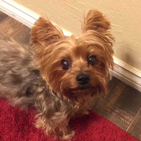 Meet your Posher, Angela - Picture 1 of 1